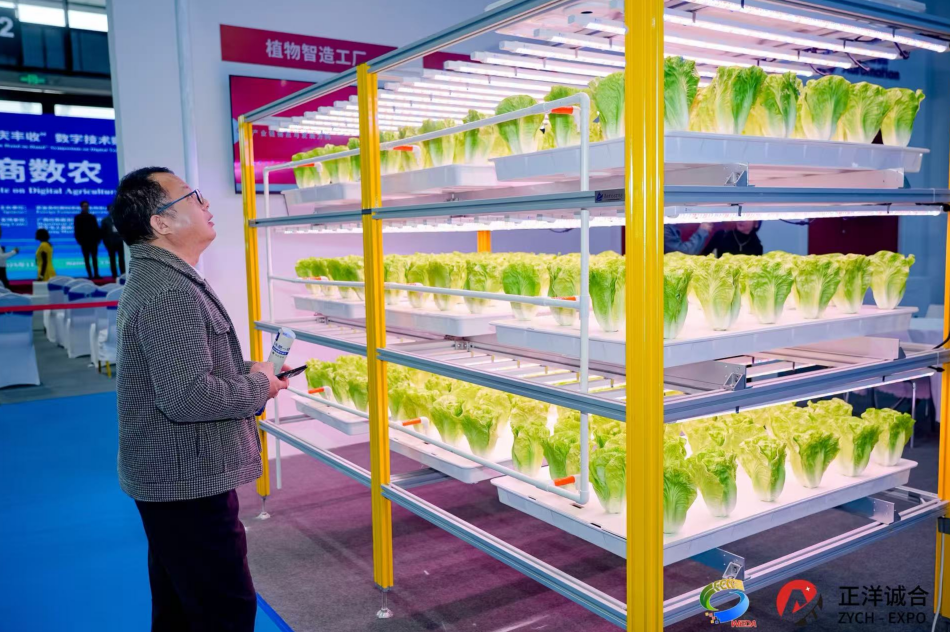 1762507189617110.png image.png