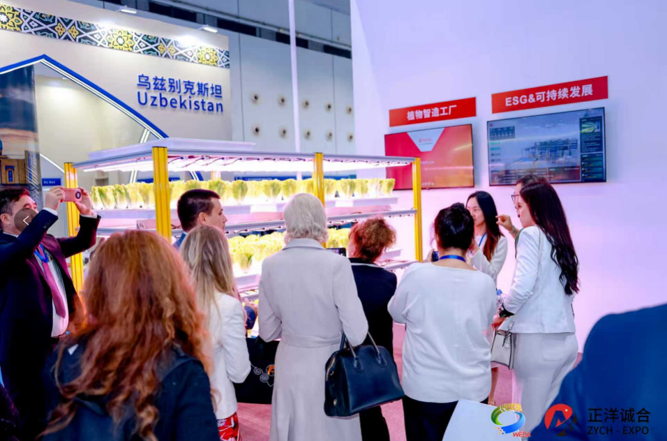 1762507206766125.png image.png